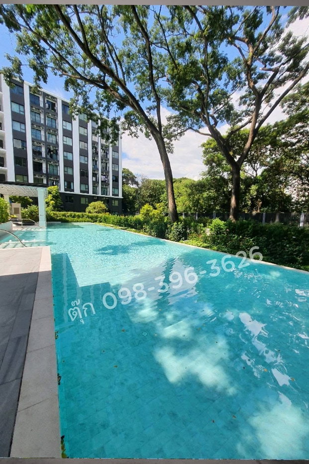 picture For Rent: Escent Park Viile Condo, near Central Festival, 8th floor, beautiful Doi Saket view, 55 sq m unit. - 13/16