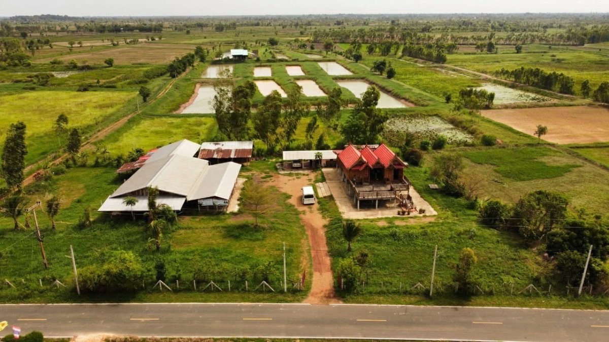 รูป 🏕️ขายที่ดิน 31ไร่  20ตารางวา จ.ร้อยเอ็ด +พร้อมบ้านเรือนไทย 2 หลัง🏠🏠 📌หน้ากว้างติดถนน 200 เมตร ที่ดินติด ถนน อบจ. ร้อยเอ็ด - รูปที่ 1/12