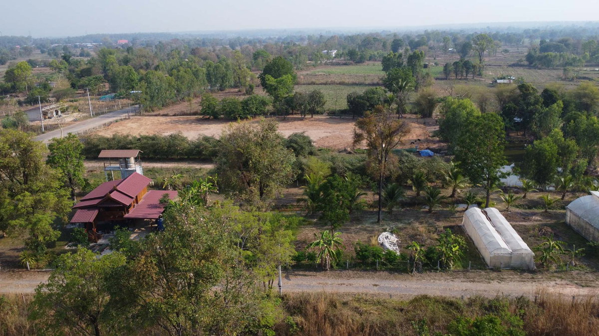 รูป ขายบ้านเรือนไทยเนื้อที่ 2 ไร่ในจังหวัดขอนแก่น - รูปที่ 6/12