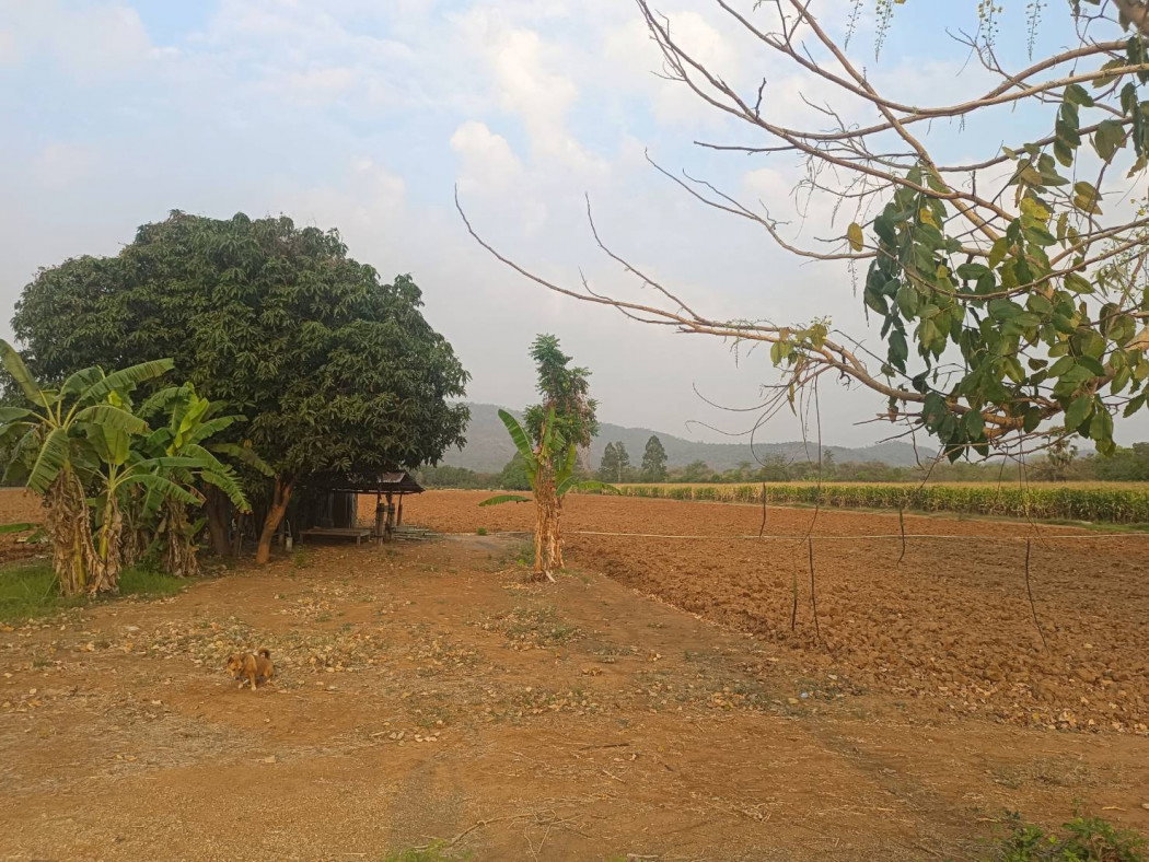 รูป ขายที่ดิน วิวเขา อู่ทอง จังหวัดสุพรรณบุรี บรรยากาศธรรมชาติ เหมาะลงทุนและพักผ่อน - รูปที่ 3/5