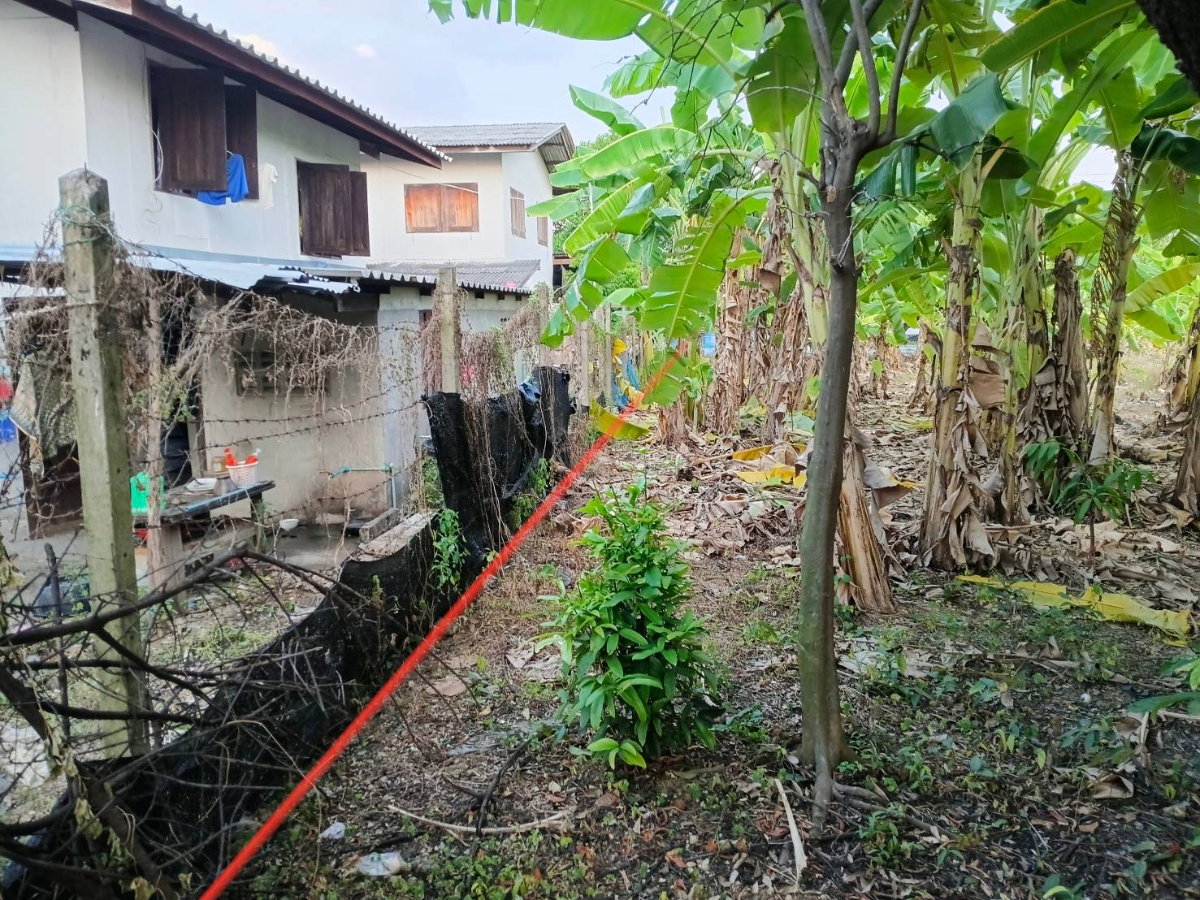 รูป ขายที่ดินถมแล้ว เพชรเกษม 88 เขต.บางแค กทม.  ขนาด 220 ตรว.  ตรว.ละ 28,000 กว้าง 24 เมตร ลึก 35 เมตร - รูปที่ 4/15