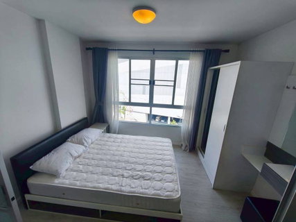 รูปภาพ  D Condo Sign for Rent.  Size: 30 sq.m | 7th floor, Building D