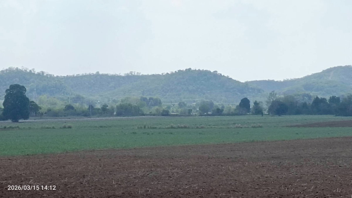 รูป ขายที่ดิน แก่งคอย กว้าง 36 เมตร ลึก 480 เมตร ติดถนน8 เมตร ตลอดแนวโฉนด   ติดถนนลาดยาง-ประปา-ไฟฟ้า  เฉลี่ยไร่ละ 400,000บาท ทำแบ่งขายได้ - รูปที่ 5/6