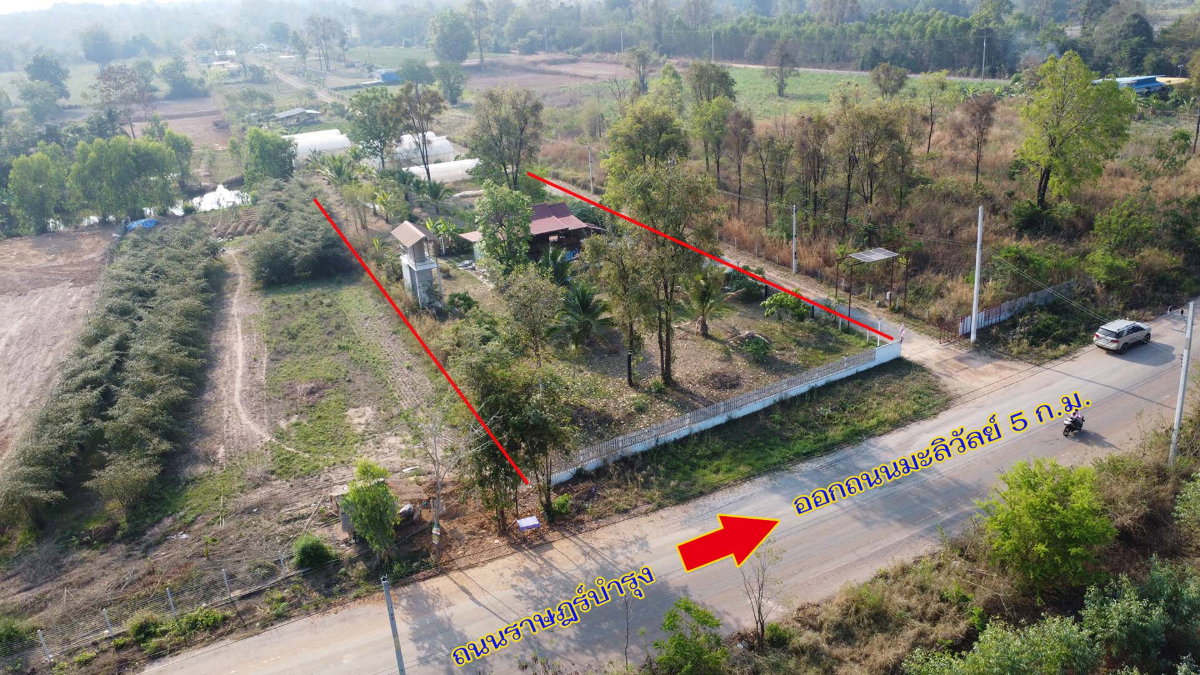 รูป ขายบ้านเรือนไทยเนื้อที่ 2 ไร่ในจังหวัดขอนแก่น - รูปที่ 3/12