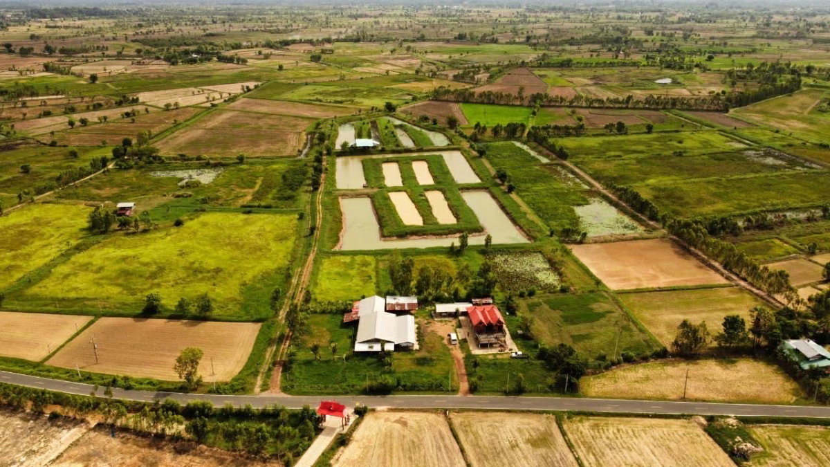 รูป 🏕️ขายที่ดิน 31ไร่  20ตารางวา จ.ร้อยเอ็ด +พร้อมบ้านเรือนไทย 2 หลัง🏠🏠 📌หน้ากว้างติดถนน 200 เมตร ที่ดินติด ถนน อบจ. ร้อยเอ็ด - รูปที่ 3/12