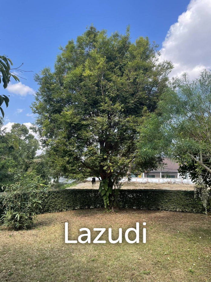 รูป ขายบ้านโมเดิร์น 3 ห้องนอนในหมู่บ้านเมลานี ต.ท่าสาย - รูปที่ 18/18