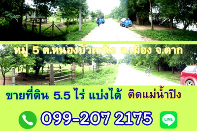 ที่ดิน ตาก : ขายที่ดิน 5.5ไร่ แบ่งได้ ติดแม่น้ำปิง ตำบลหนองบัวเหนือ หมู่5 อ.เมือง จ.ตาก ใกล้สะพานข้ามแม่น้ำปิงแห่งใหม่ สะพานบ้านวังม่วง