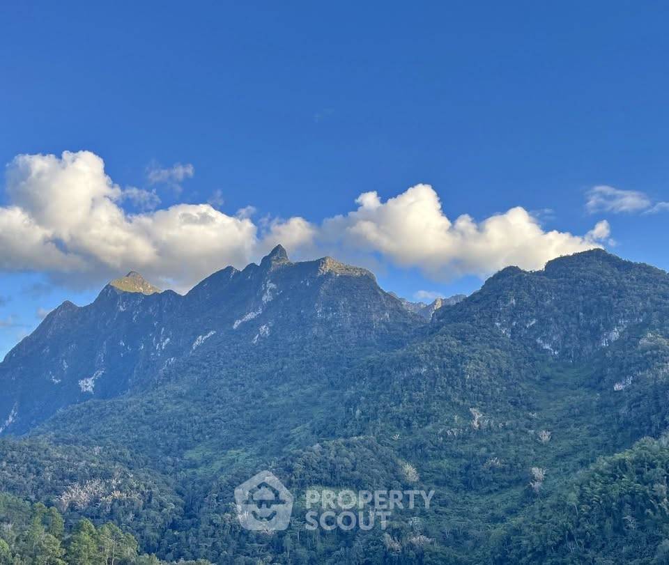 รูป ที่ดินสำหรับปล่อยขาย 30,424 ตารางเมตร แถว ใน เชียงดาว (ID 2605509) - รูปที่ 2/4