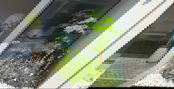 รูป เช่าบ้านเดี่ยว 2 ชั้น ม. วีวัลดี บางนา สวย พร้อมอยู่ ใกล้ ศูนย์การค้าเมกา บางนา สนใจแอตไลน์ครับ@841qqlnr - รูปที่ 19/27