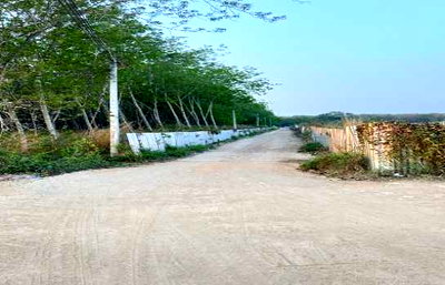 ที่ดิน นิคมอาร์ไอแอล :  ขายที่ดินศักยภาพสูง ขนาด 61-2-28.7 ไร่ (ผังสีเหลือง) ติดพื้นที่ผังสีม่วง เหมาะพัฒนาโรงงานหรือโกดัง 