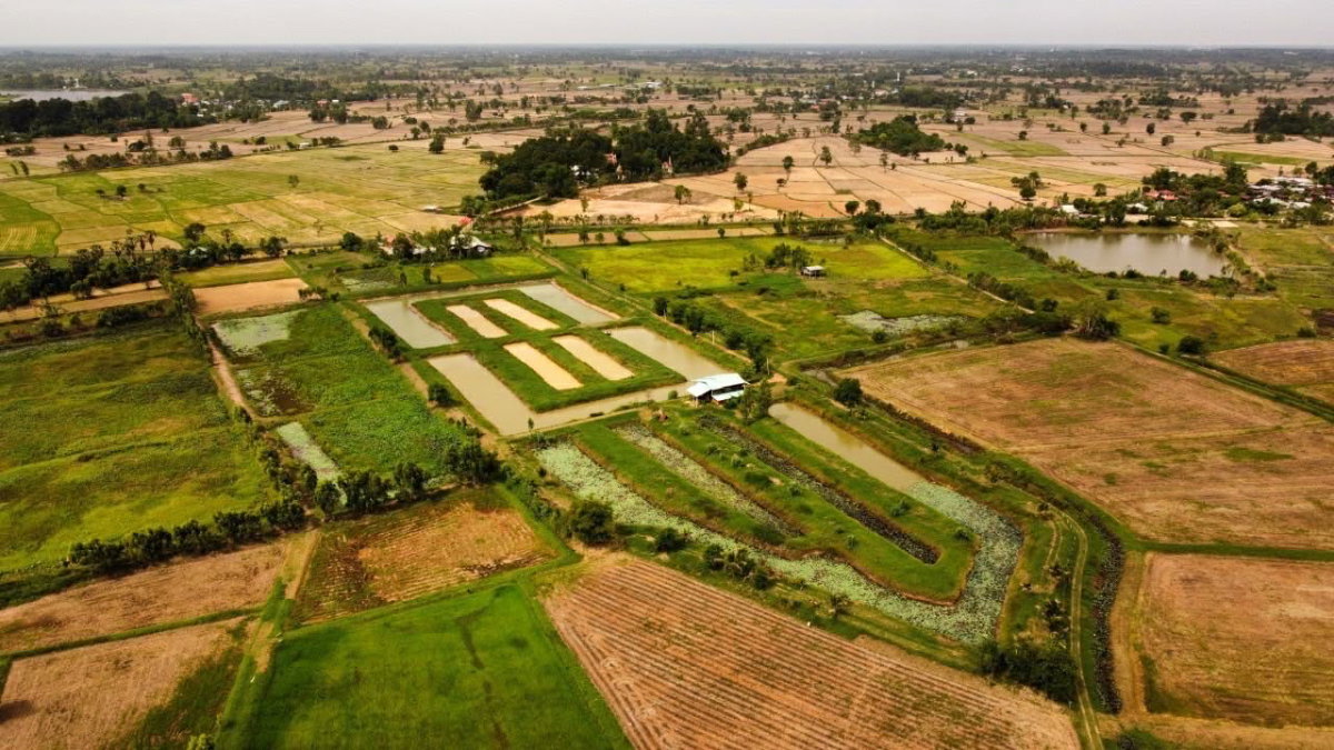 รูป 🏕️ขายที่ดิน 31ไร่  20ตารางวา จ.ร้อยเอ็ด +พร้อมบ้านเรือนไทย 2 หลัง🏠🏠 📌หน้ากว้างติดถนน 200 เมตร ที่ดินติด ถนน อบจ. ร้อยเอ็ด - รูปที่ 5/12