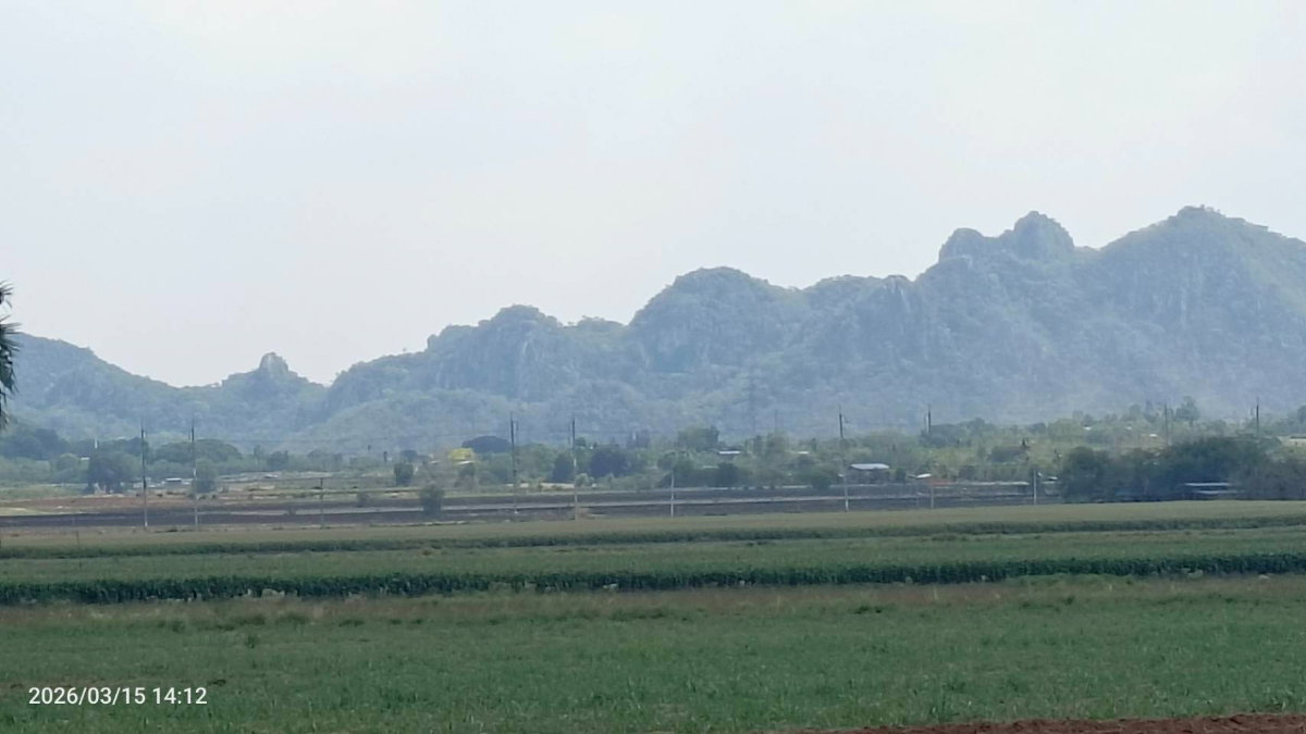 รูป ขายที่ดิน แก่งคอย กว้าง 36 เมตร ลึก 480 เมตร ติดถนน8 เมตร ตลอดแนวโฉนด   ติดถนนลาดยาง-ประปา-ไฟฟ้า  เฉลี่ยไร่ละ 400,000บาท ทำแบ่งขายได้ - รูปที่ 4/6