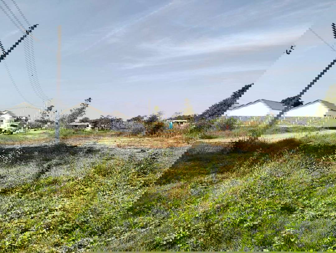 รูป ขายที่ดิน1ไร่ซอยพยอม21 ต.พยอม อ.วังน้อย จ.พระนครศรีอยุธยา - รูปที่ 5/6