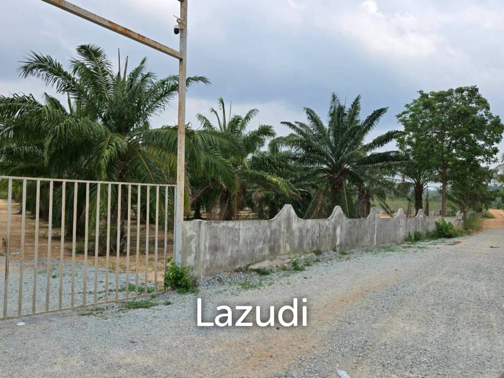 รูป ขายที่ดินลงทุนชั้นดี 60+ ไร่ ติดมอเตอร์เวย์ 7 ห้วยใหญ่ - รูปที่ 6/10