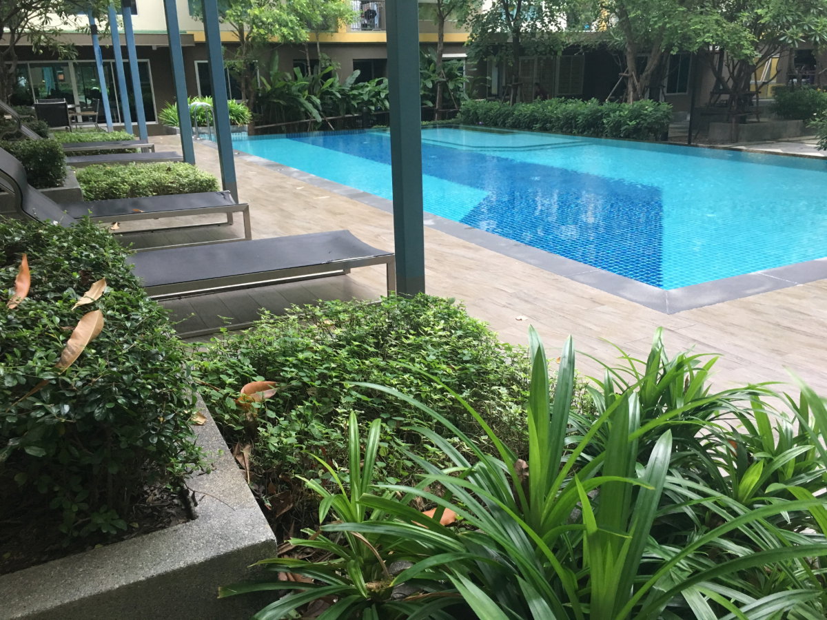 picture Room For Rent Plum Condo Laemchabang - 22/28