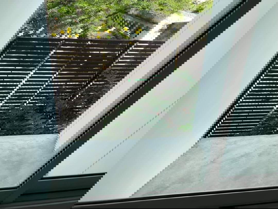 รูป 🔮RB23810 ให้เช่าถูกมาก👍รีเจนท์ ออร์คิด ตลาดพลู✅แอดไลน์ @119dgdea ( มี @ ด้วย) แอดมินตอบไว - รูปที่ 2/17