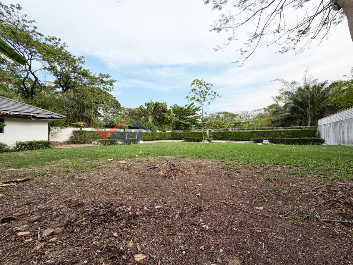 รูป ขายที่ดินเปล่าแปลงสวย พัฒนาการ 58 200 ตารางวา - รูปที่ 3/12