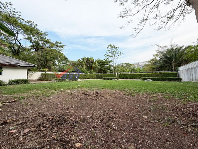 Land for sale, 200 sq wah, Suan Luang