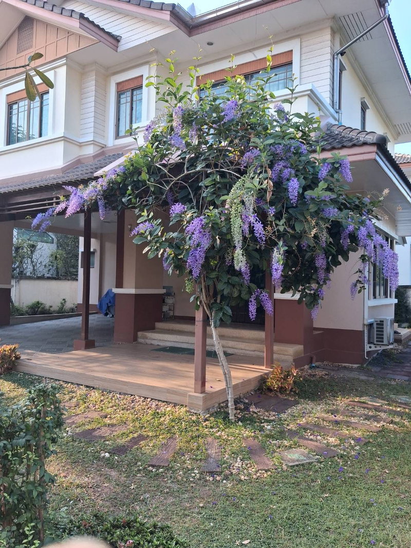 Houses for sale : Setthasiri ,2 stories House on Sareethai Rd near Siam park