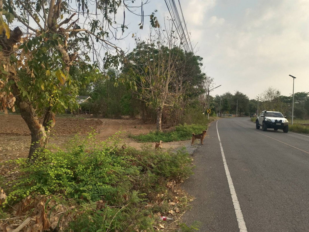 รูป ขายที่ดิน วิวเขา อู่ทอง จังหวัดสุพรรณบุรี บรรยากาศธรรมชาติ เหมาะลงทุนและพักผ่อน - รูปที่ 4/5