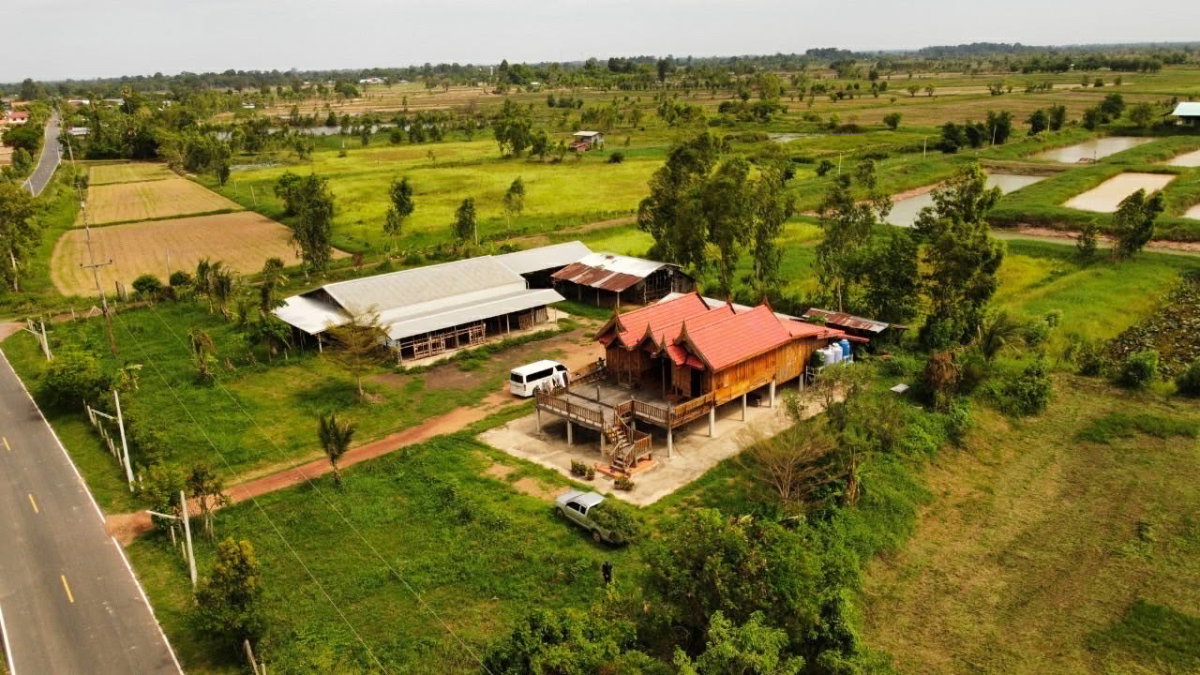 รูป 🏕️ขายที่ดิน 31ไร่  20ตารางวา จ.ร้อยเอ็ด +พร้อมบ้านเรือนไทย 2 หลัง🏠🏠 📌หน้ากว้างติดถนน 200 เมตร ที่ดินติด ถนน อบจ. ร้อยเอ็ด - รูปที่ 4/12