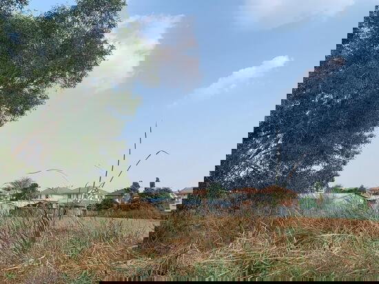 รูป ขายที่ดิน ซอยสุขาภิบาล 5 แขวงออเงิน  เขตสายไหม กทม. - รูปที่ 2/4