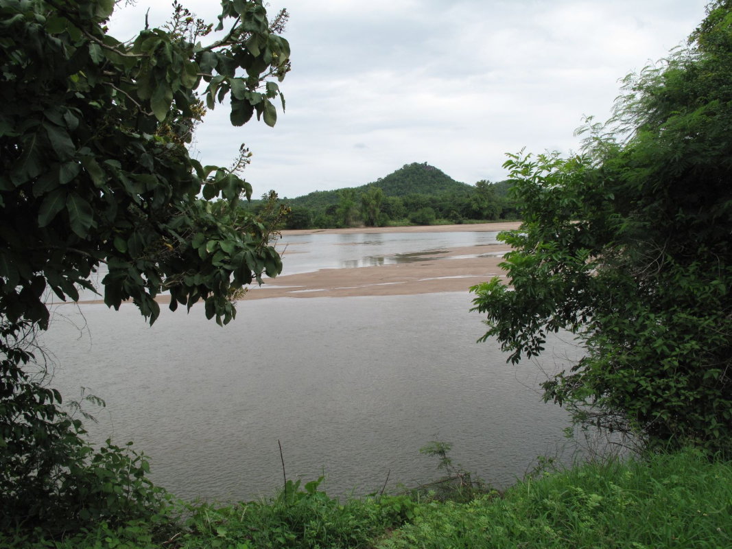 รูป ขายที่ดิน 5.5ไร่ แบ่งได้ ติดแม่น้ำปิง ตำบลหนองบัวเหนือ หมู่5 อ.เมือง จ.ตาก ใกล้สะพานข้ามแม่น้ำปิงแห่งใหม่ สะพานบ้านวังม่วง - รูปที่ 5/10