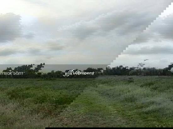 รูป ขายที่ดิน ต.หนองกี่ อ.กบินทร์บุรี จ.ปราจีนบุรี - รูปที่ 3/3