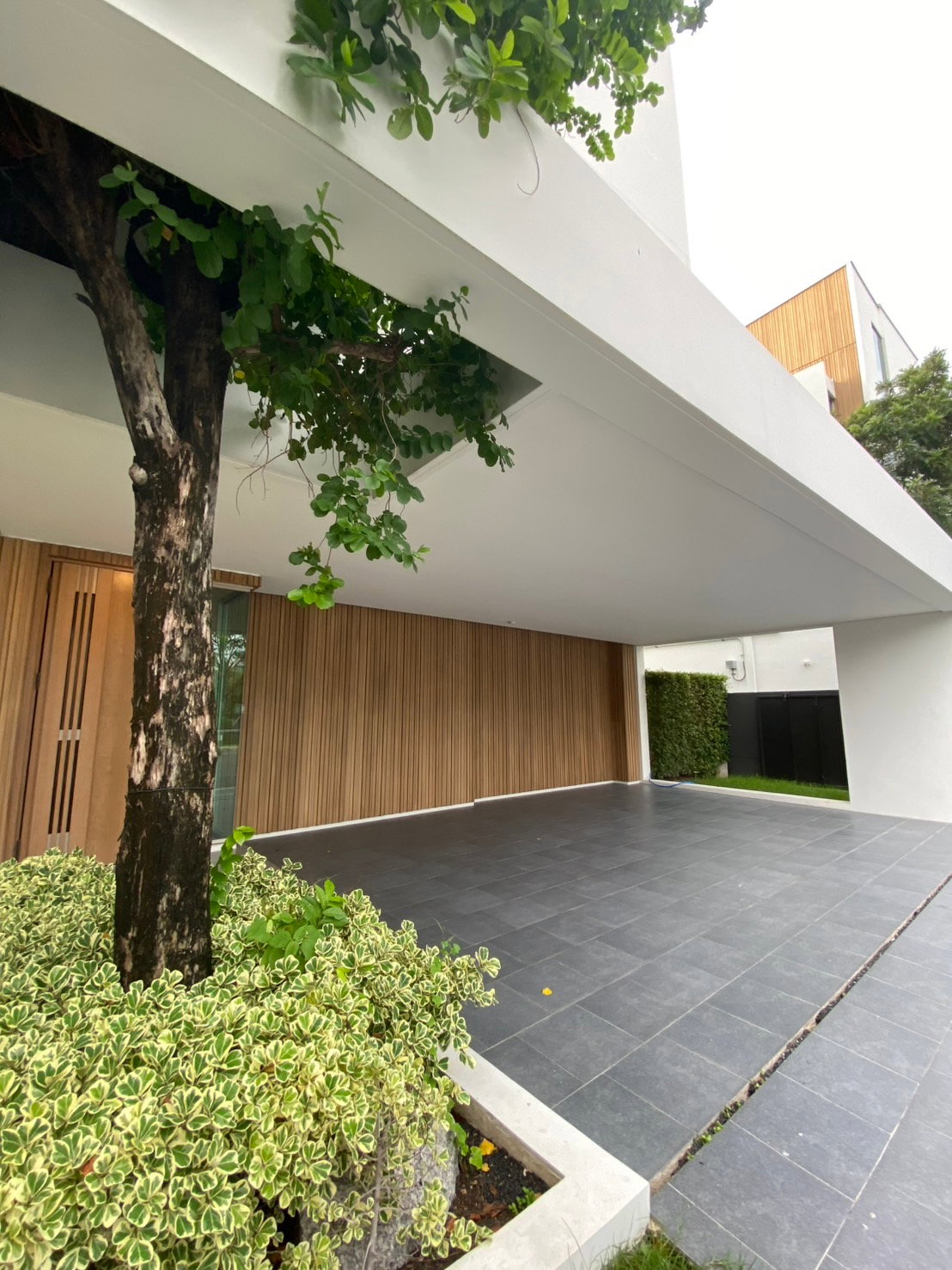 For rent  Vive Rama 9  Super Luxury 