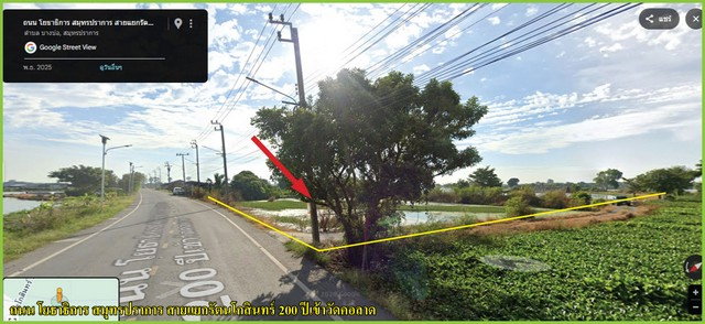 รูป ขายที่ดินทำเลทอง 106-3-65.8 ไร่ ผังสีเหลือง ถนนรัตนโกสินทร์ 200 ปี เหมาะทำโกดัง คลังสินค้า  - รูปที่ 5/10