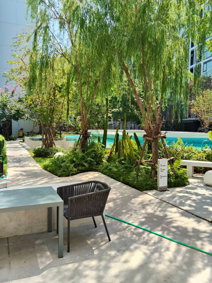 รูป ถูกสุดในโครงการ ‼️ ให้เช่า 🔥  Atmoz Oasis Onnut  ห้องสวย ทำเลดี เฟอร์ครบ+มีเครื่องซักผ้า📍 พร้อมให้เข้าอยู่ ( ตอบแชทและรับสายไวมาก ) - รูปที่ 9/10