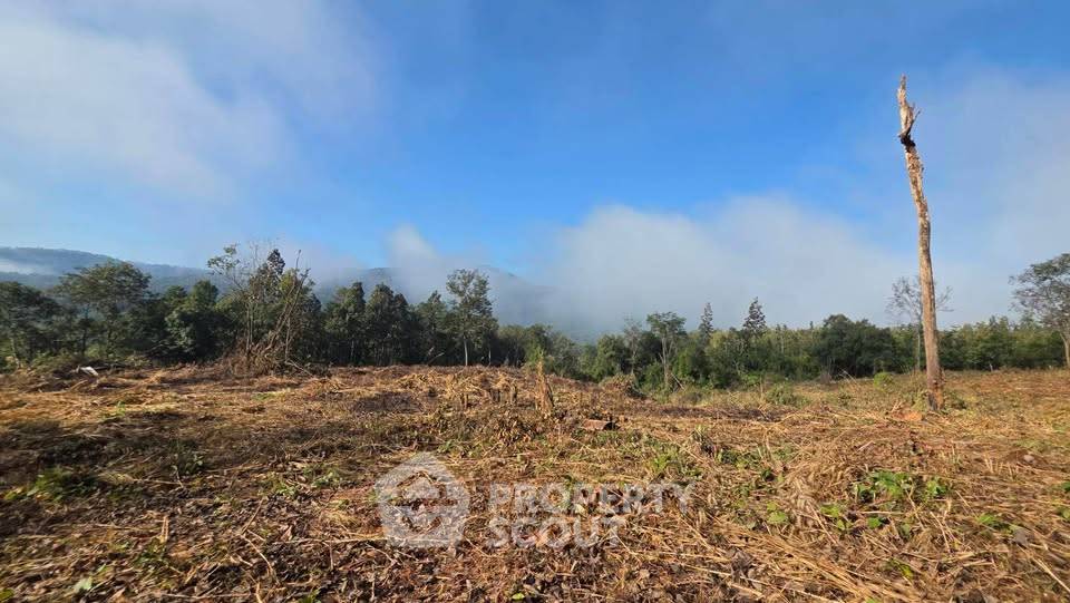 รูป ที่ดินสำหรับปล่อยขาย 32,000 ตารางเมตร แถว ใน สะเมิงใต้ (ID 2613689) - รูปที่ 4/5