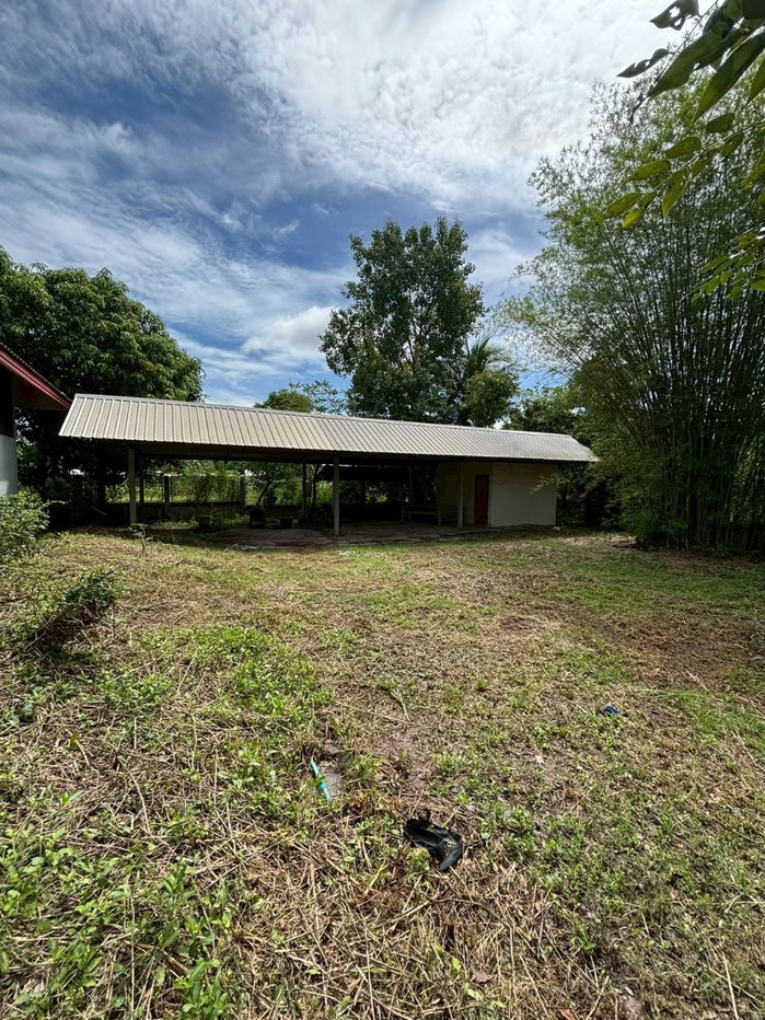 รูป บ้านเดี่ยว พร้อมที่ดิน หนองภัยศูน์ หนองบัวลำภู - รูปที่ 11/13