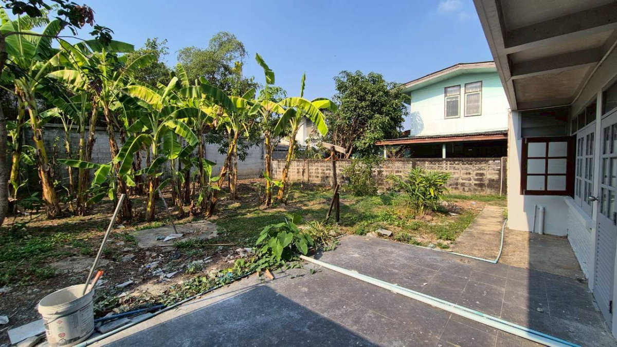 รูป ให้เช่าบ้านเดี่ยว 2 ชั้น เสรีไทย 57 - มีสวนข้างบ้านขนาดใหญ่ - รูปที่ 5/30