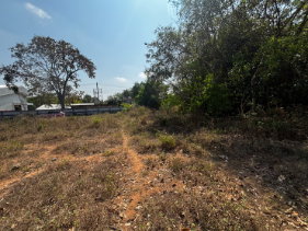 รูป ขายที่ดินโคราช จัดสรรแปลงละ 100 ตรว. มี 6 แปลง อยู่บ้านพรสวรรค์ อ.สีคิ้ว โคราช - รูปที่ 6/6