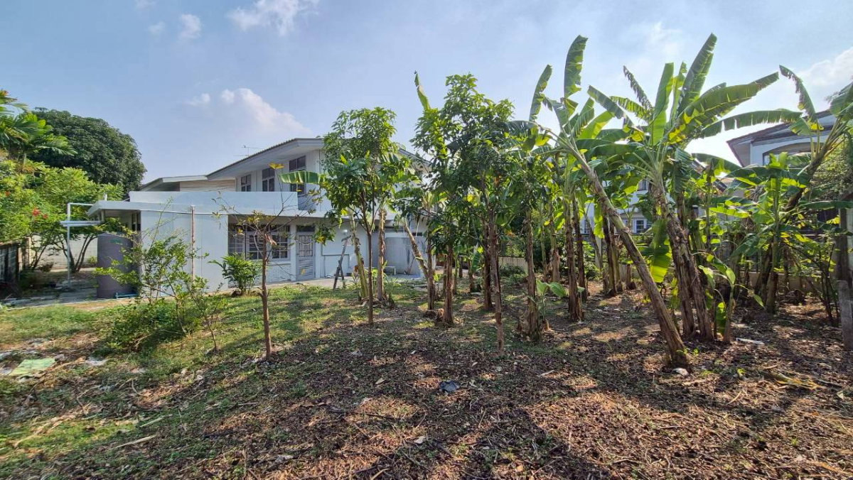 รูป ให้เช่าบ้านเดี่ยว 2 ชั้น เสรีไทย 57 - มีสวนข้างบ้านขนาดใหญ่ - รูปที่ 4/30