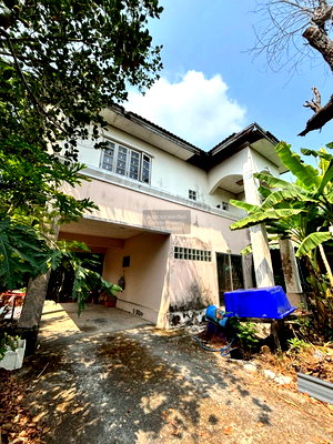 บ้านเดี่ยว กรุงเทพมหานคร : ขายบ้าน  บ้านทรัพย์ไพศาล หนองจอก โคกแฝด เขต หนองจอก กรุงเทพ CX-149704 ✅ ทักไลน์ @connexproperty ตอบทันที ทีมงานมืออาชีพ ✅