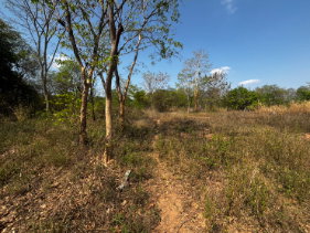 รูป ขายที่ดินโคราช จัดสรรแปลงละ 100 ตรว. มี 6 แปลง อยู่บ้านพรสวรรค์ อ.สีคิ้ว โคราช - รูปที่ 3/6