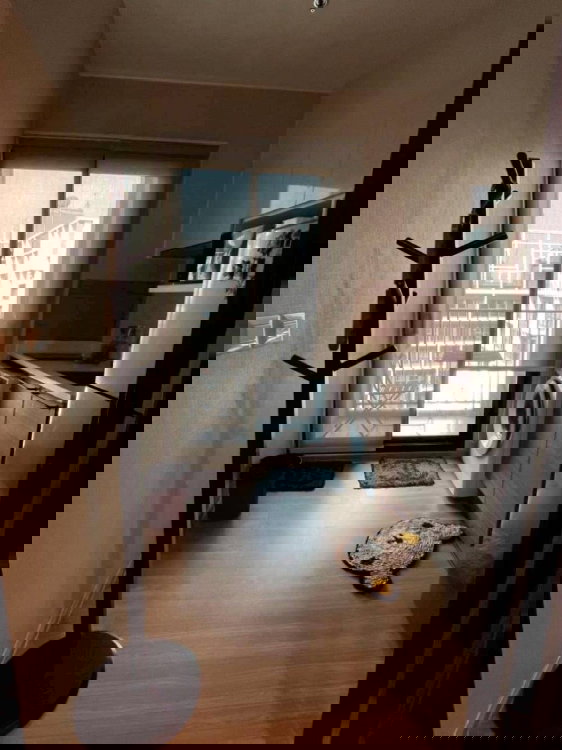 รูป #SC12464 📌 ขาย | 🟦🟨 คอนโดเลต มิสท์ พระราม 9 🟥🟩💬𝑪𝒐𝒏𝒕𝒂𝒄𝒕𝑳𝑰𝑵𝑬:@𝒔𝒆𝒄𝒓𝒆𝒕𝒑𝒓𝒐𝒑𝒆𝒓𝒕𝒚 🔥✨ - รูปที่ 3/7