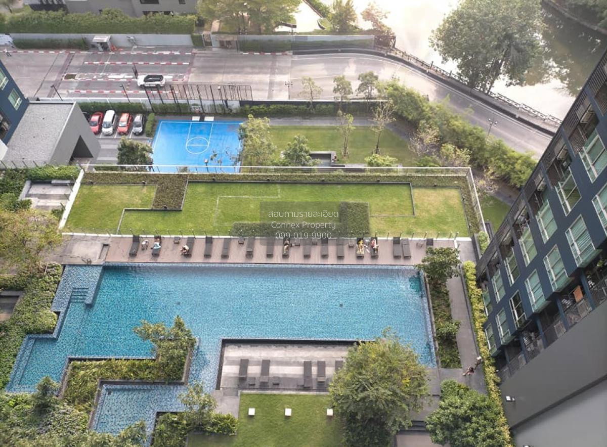 รูป เช่า คอนโด The Base Sukhumvit 77 BTS-อ่อนนุช สุขุมวิท พระโขนงเหนือ วัฒนา กรุงเทพ CX-02308 ✅ ทักไลน์ @connexproperty ตอบทันที ทีมงานมืออาชีพ ✅ - รูปที่ 9/9