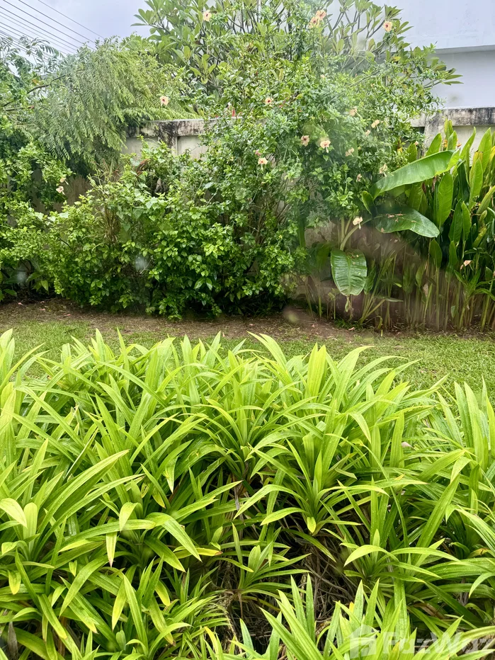 รูป ขาย วิลล่า 1 ห้องนอน ในโครงการ ซี สโตน พูล วิลล่า 1902867 - รูปที่ 20/55