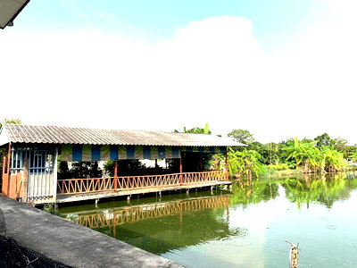 Land for rent Government House : LTH5770 – Land and Bay FOR RENT in Bang Na size 5 Rai Nearby BTS Bang Na station ONLY 120k/Month