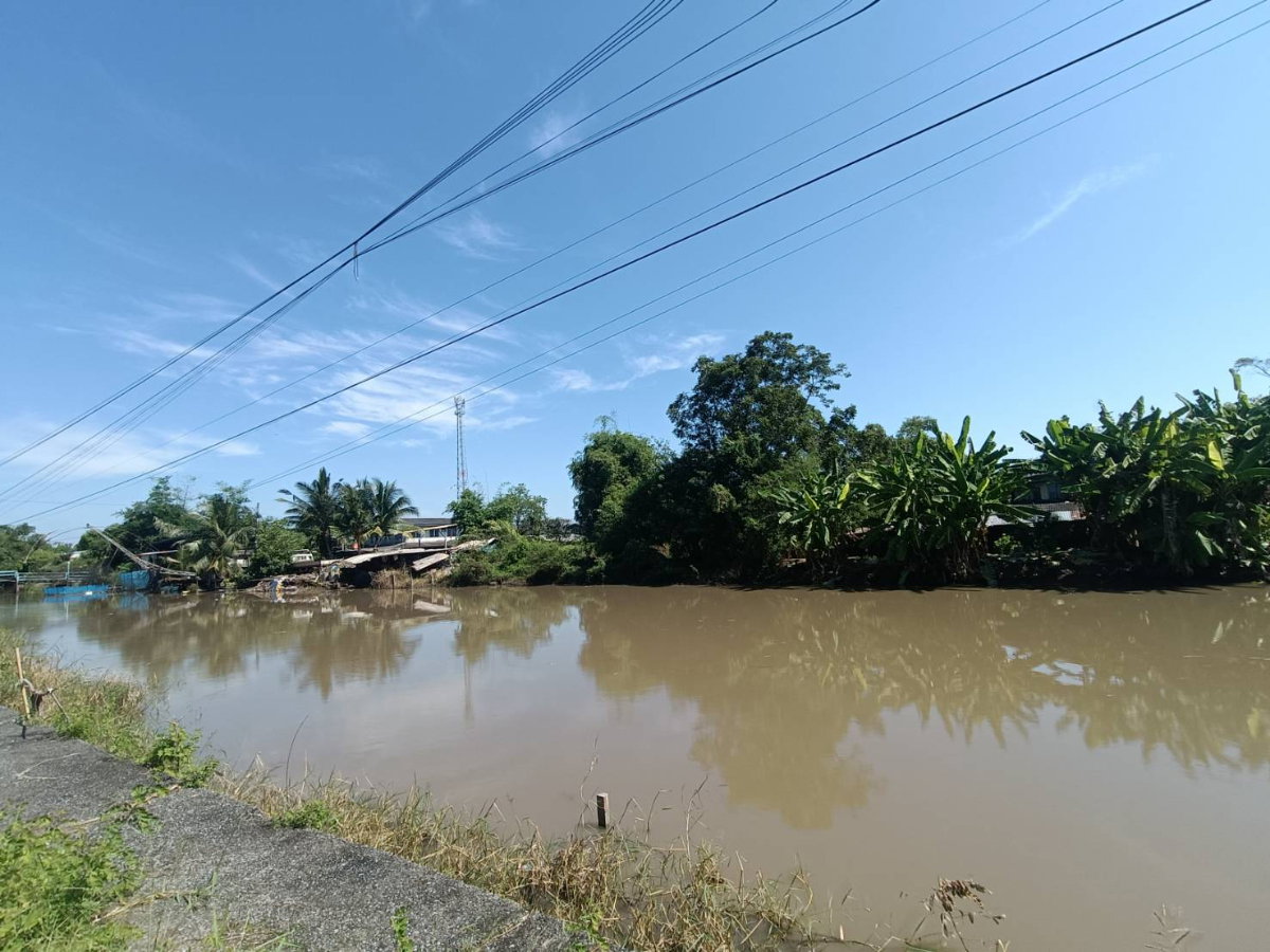 รูป ขายที่ดิน 2 ไร่ ใกล้คลอง วิวสวยธรรมชาติ คู้ซ้าย หนองจอก กรุงเทพมหานคร  - รูปที่ 1/11
