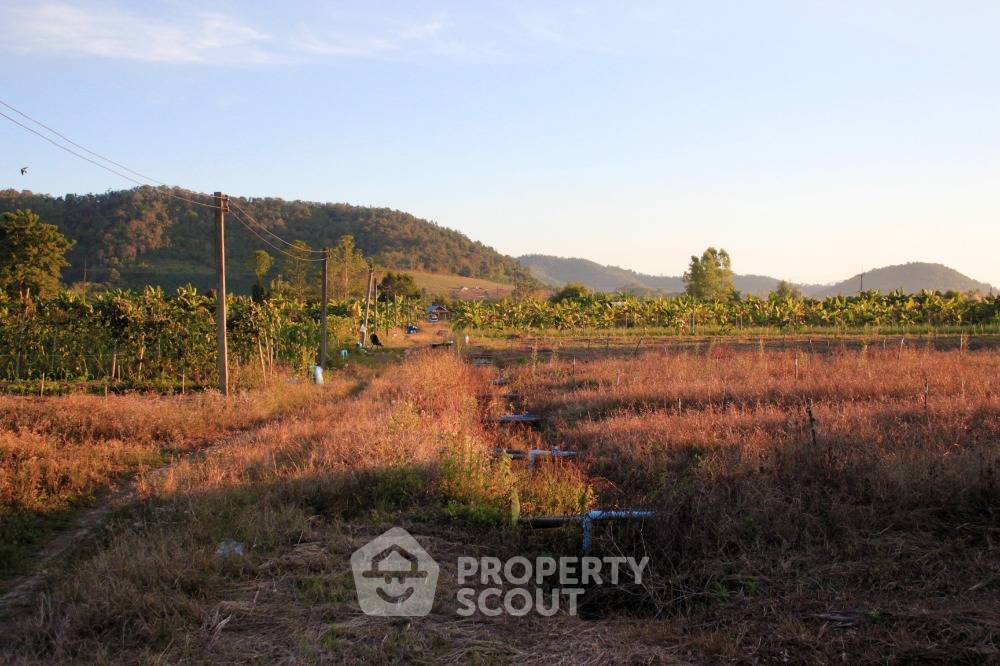 picture Land For Sale Mae Na Wang Mae Ai Chiang Mai (ID 1424994) - 4/4