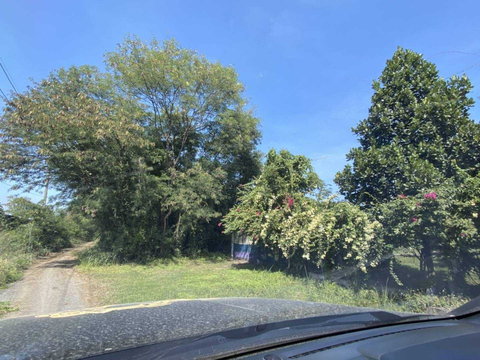 LTH5546 – Land FOR SALE in Ramintra size 501 Sq.W. Nearby BTS Wat Phra Sri Mahathat station ONLY 32 MB