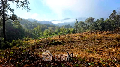 ที่ดิน สะเมิง เชียงใหม่ : ที่ดินสำหรับปล่อยขาย 32,000 ตารางเมตร แถว ใน สะเมิงใต้ (ID 2613689)