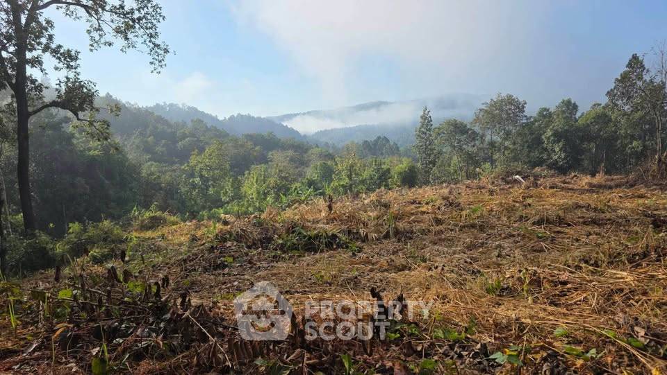 รูป ที่ดินสำหรับปล่อยขาย 32,000 ตารางเมตร แถว ใน สะเมิงใต้ (ID 2613689) - รูปที่ 1/5