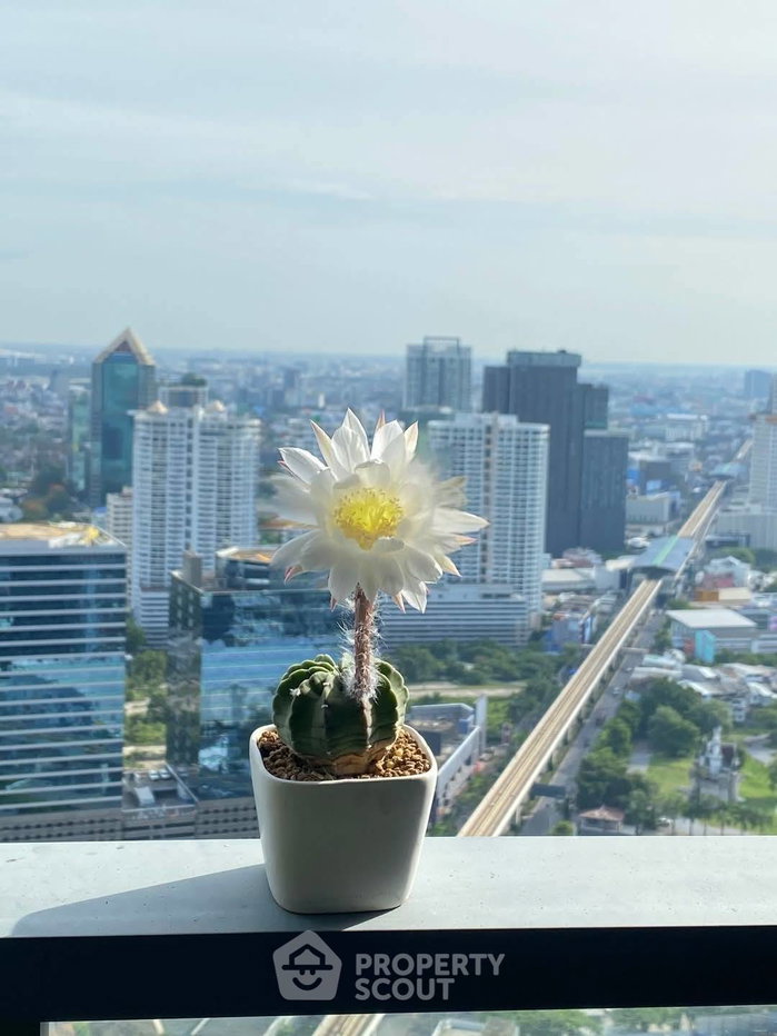 รูป คอนโด 2-ห้องนอน ที่ เอ็ม ลาดพร้าว ใกล้ BTS ห้าแยกลาดพร้าว (ID 2751674) - รูปที่ 7/8