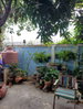 listing thumbnail image 16