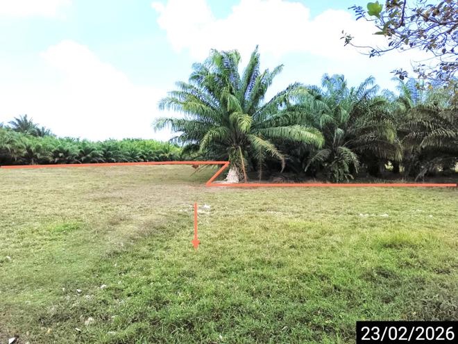 picture LAND for sale Pa We Chaiya Surat Thani - 7/18